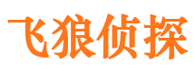 安塞商务调查